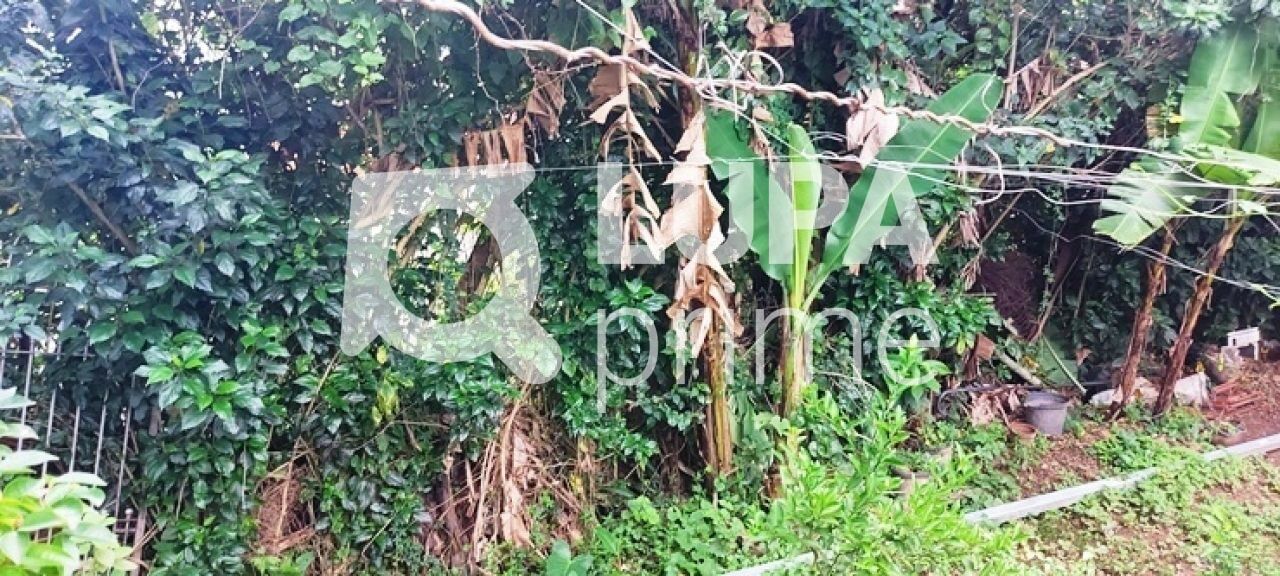 terreno-venda-sao-paulo-horto-florestal-1739m2-LS43597