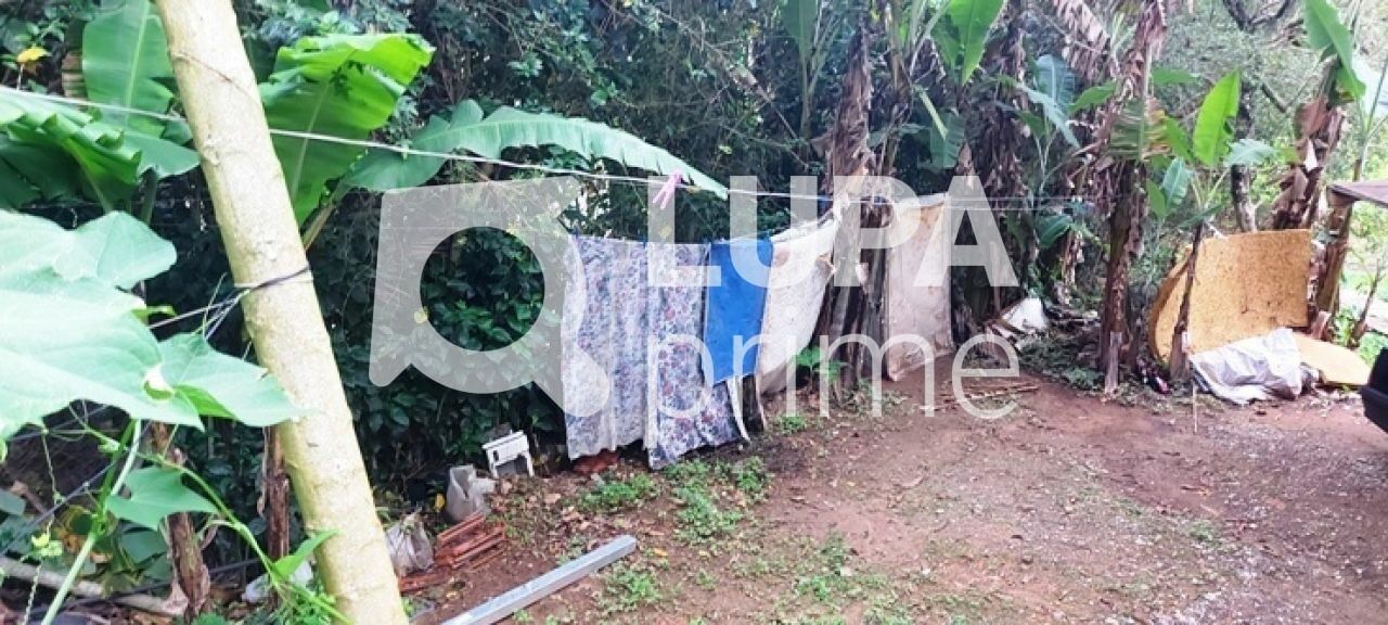 terreno-venda-sao-paulo-horto-florestal-1739m2-LS43597