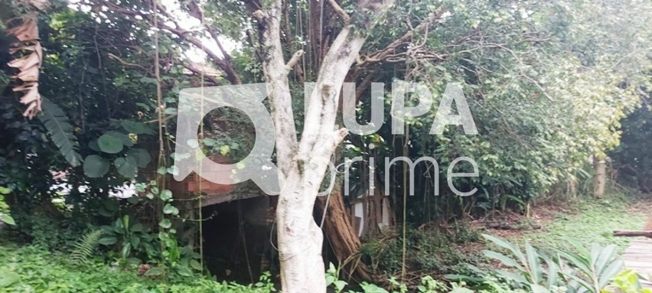 terreno-venda-sao-paulo-horto-florestal-1739m2-LS43597