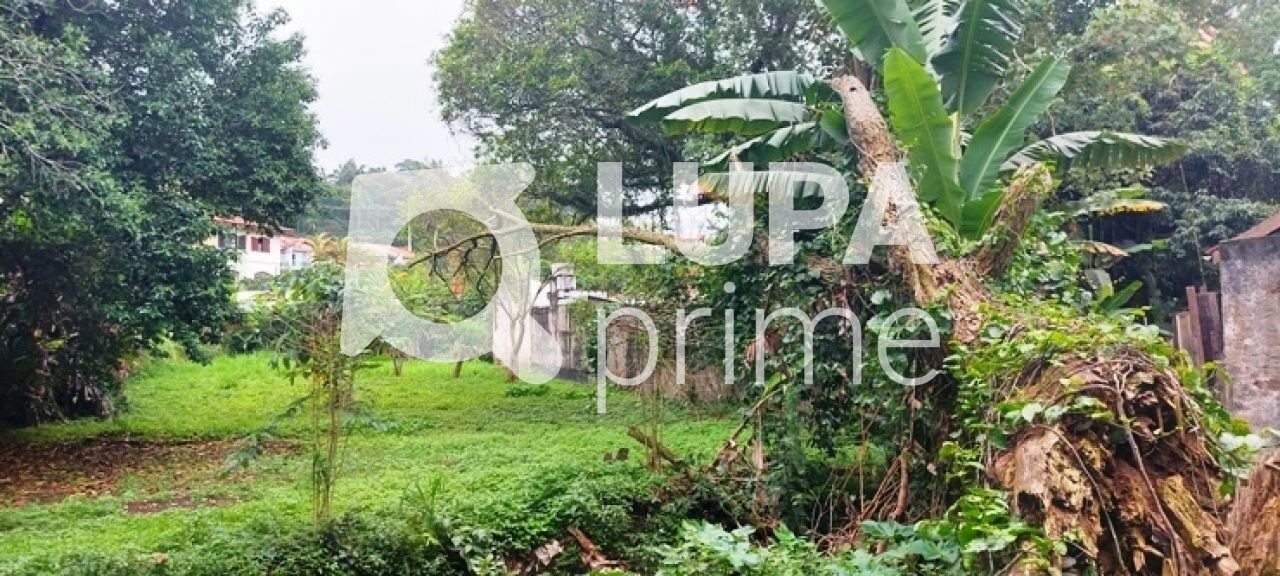 terreno-venda-sao-paulo-horto-florestal-1739m2-LS43597