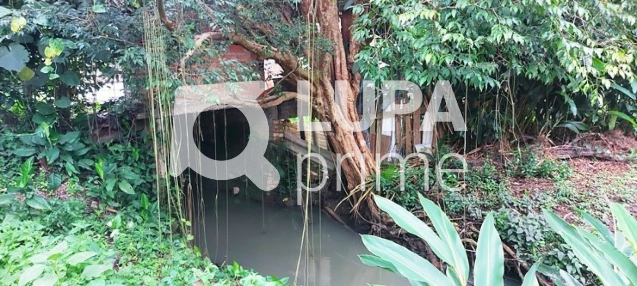 terreno-venda-sao-paulo-horto-florestal-1739m2-LS43597