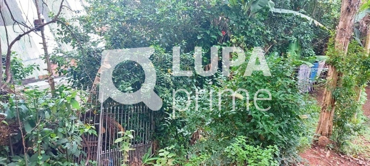 terreno-venda-sao-paulo-horto-florestal-1739m2-LS43597