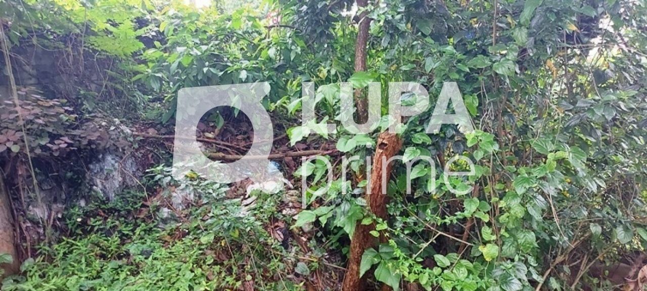 terreno-venda-sao-paulo-horto-florestal-1739m2-LS43597