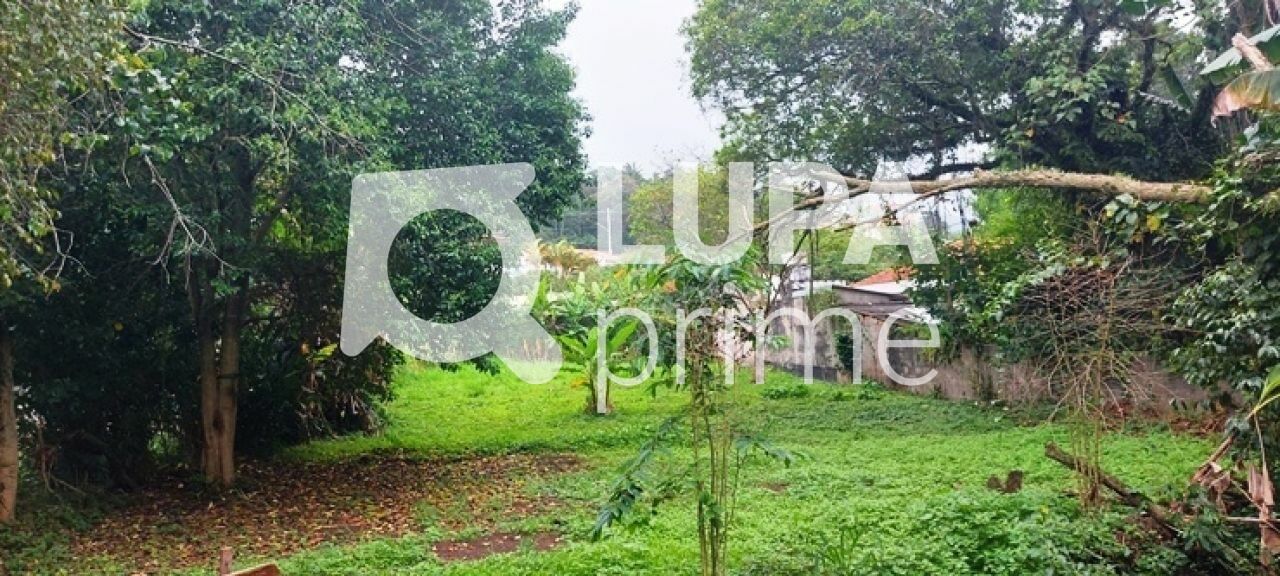 terreno-venda-sao-paulo-horto-florestal-1739m2-LS43597