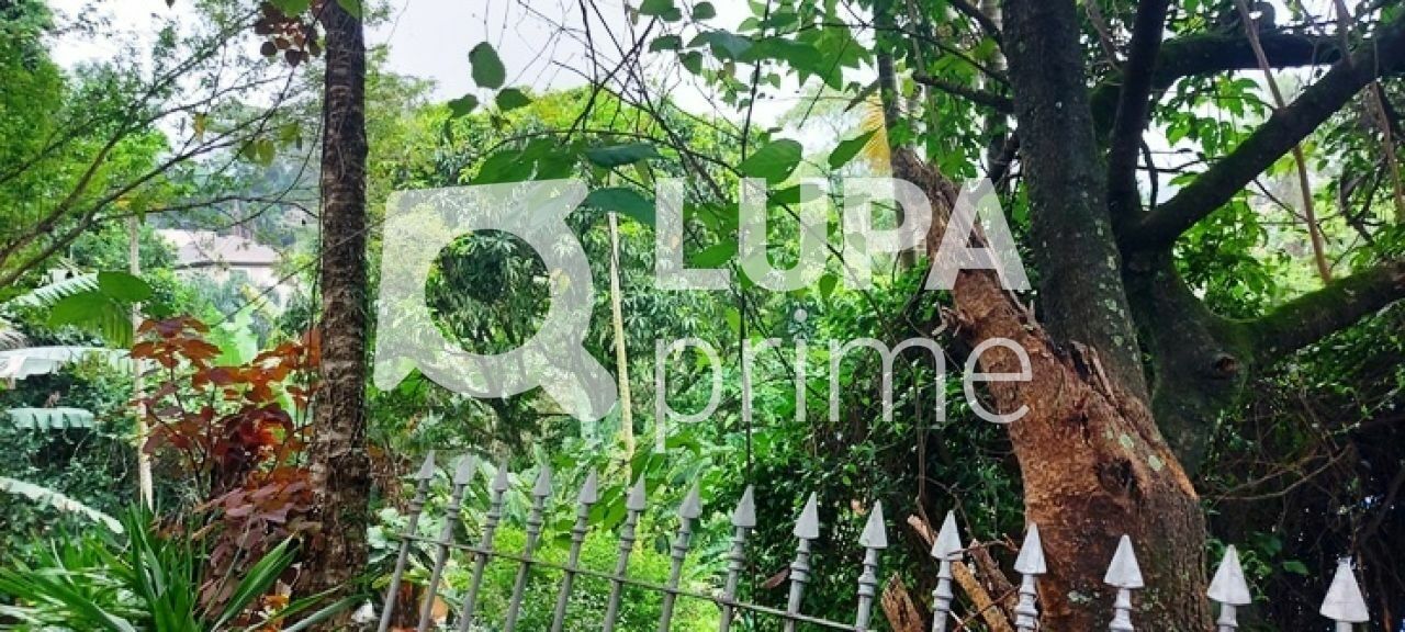 terreno-venda-sao-paulo-horto-florestal-1739m2-LS43597