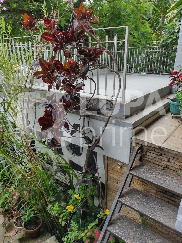 sobrado-venda-sao-paulo-jardim-sao-paulo-3dormitorios-1suite-2vagas-242m2-LS43630