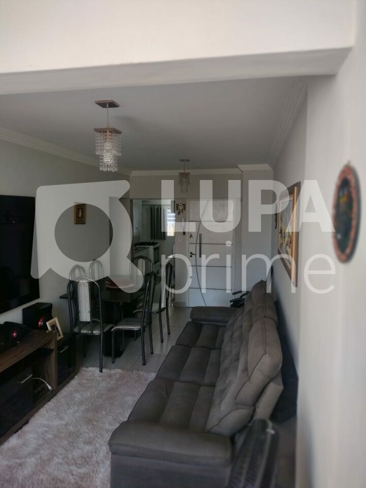 apartamento-venda-sao-paulo-bras-2dormitorios-63m2-LS43691