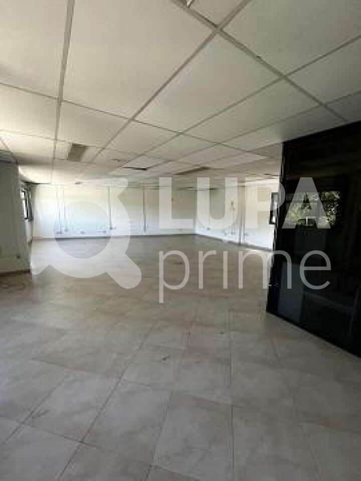 conj-comercial-locacao-sao-paulo-horto-florestal-10vagas-400m2-LS43731