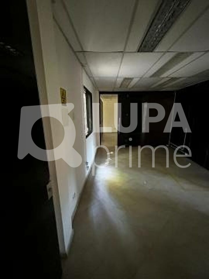 conj-comercial-locacao-sao-paulo-horto-florestal-10vagas-400m2-LS43731