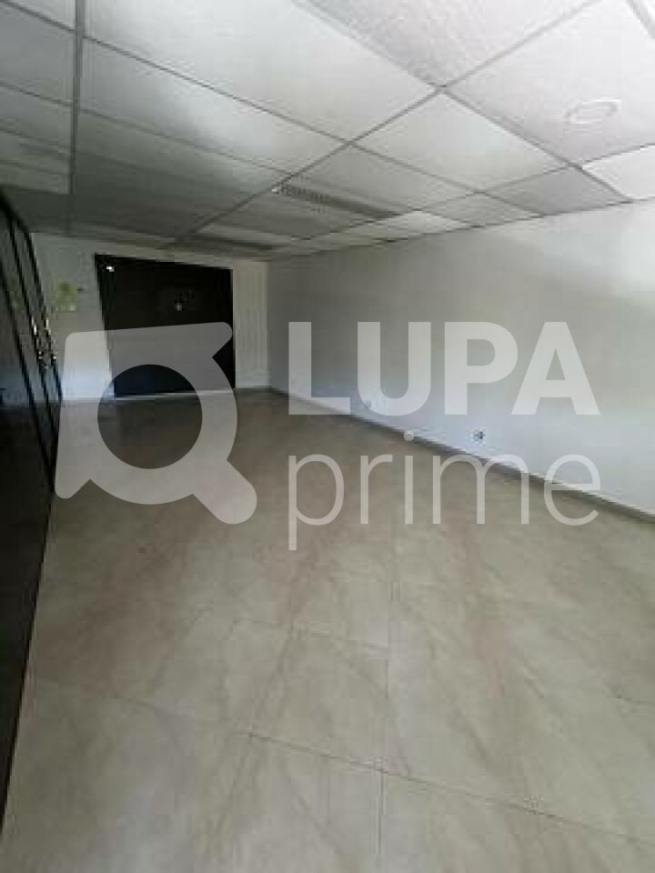 conj-comercial-locacao-sao-paulo-horto-florestal-10vagas-400m2-LS43731