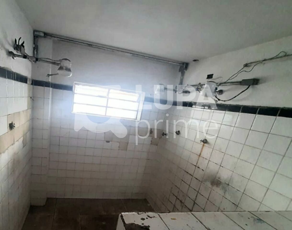 galpao-venda-sao-paulo-vila-guilherme-20vagas-2400m2-LS43745