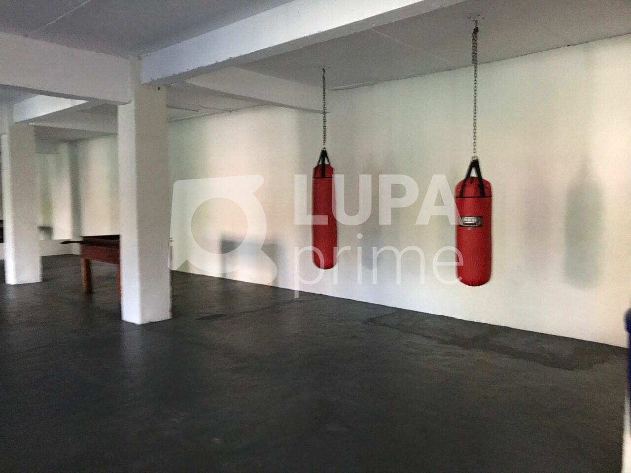 apartamento-venda-sao-paulo-lauzane-paulista-2dormitorios-1vaga-58m2-LS43750