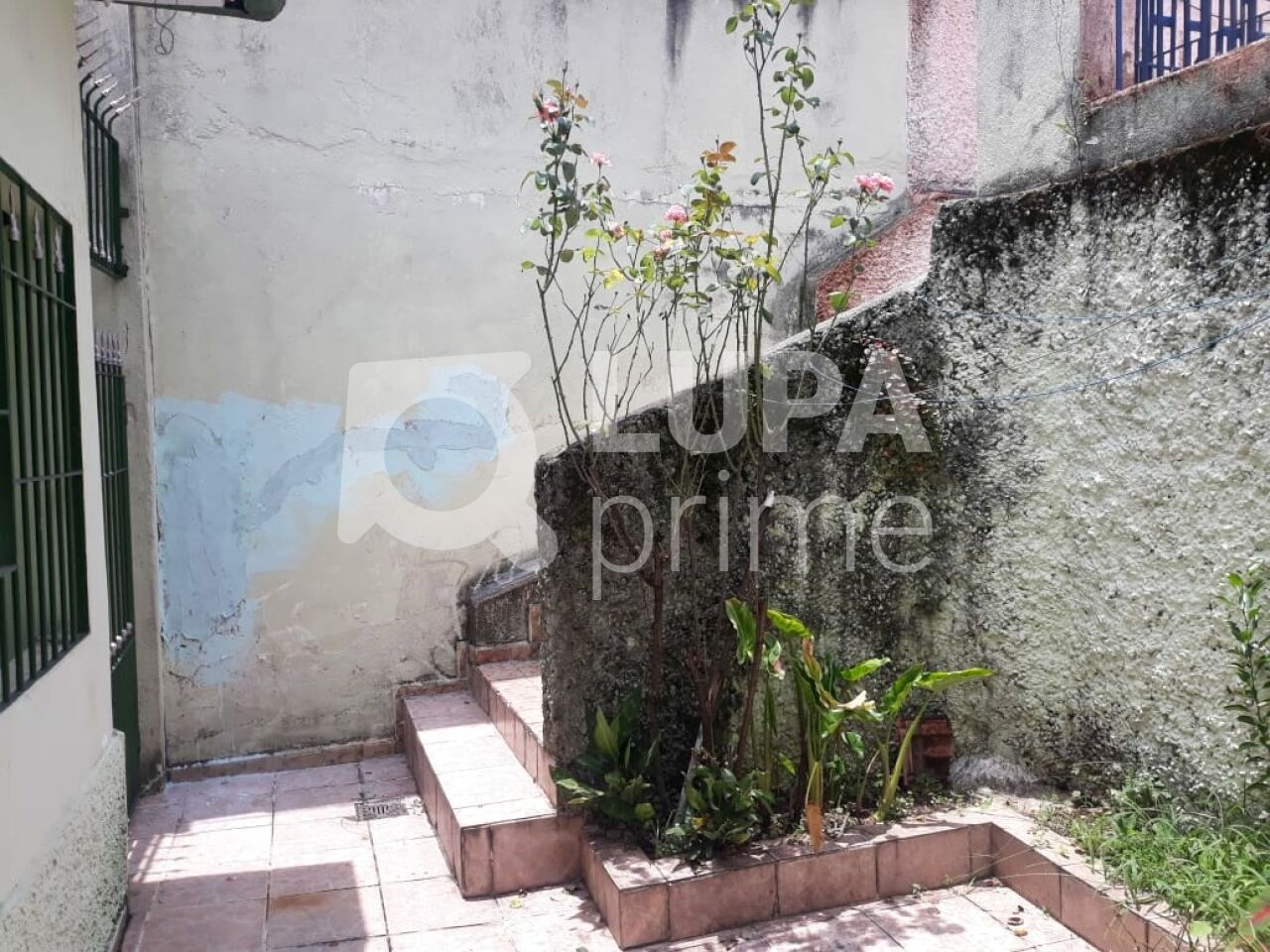 casa-terrea-venda-sao-paulo-vila-gustavo-2dormitorios-2vagas-230m2-LS43778