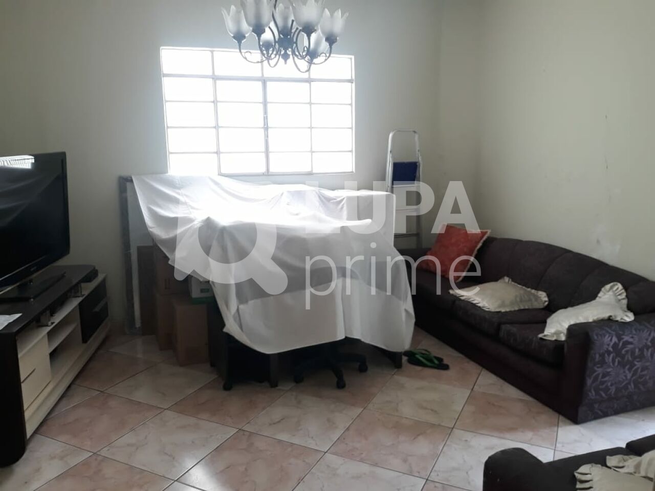 casa-terrea-venda-sao-paulo-vila-gustavo-2dormitorios-2vagas-230m2-LS43778