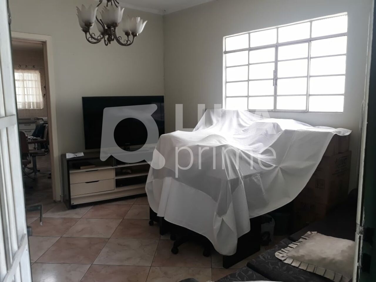 casa-terrea-venda-sao-paulo-vila-gustavo-2dormitorios-2vagas-230m2-LS43778