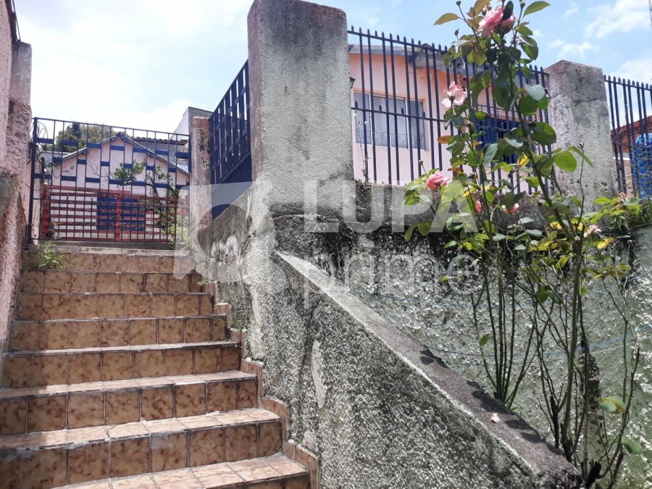 casa-terrea-venda-sao-paulo-vila-gustavo-2dormitorios-2vagas-230m2-LS43778