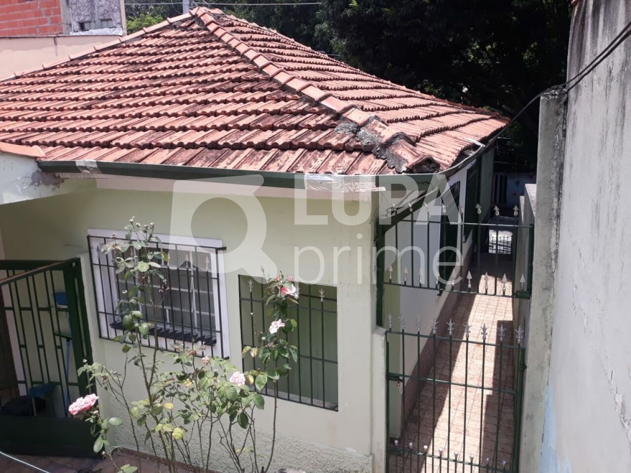 casa-terrea-venda-sao-paulo-vila-gustavo-2dormitorios-2vagas-230m2-LS43778