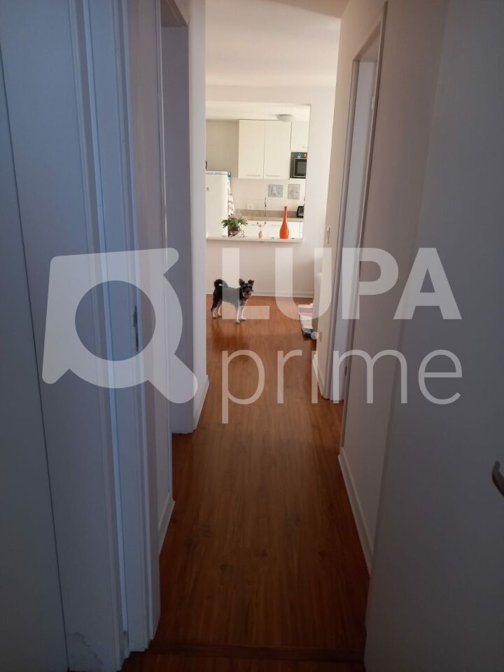 apartamento-venda-sao-paulo-vila-mazzei-2dormitorios-1suite-1vaga-58m2-LS43932