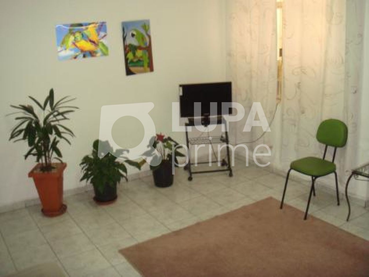 sala-comercial-locacao-sao-paulo-santana-20m2-LS4665