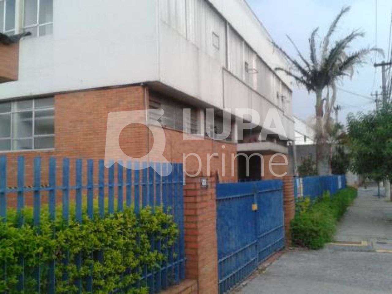 predio-locacao-sao-paulo-vila-guilherme-1dormitorio-1410m2-LS5169