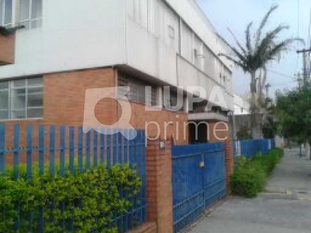 predio-locacao-sao-paulo-vila-guilherme-1dormitorio-1410m2-LS5169