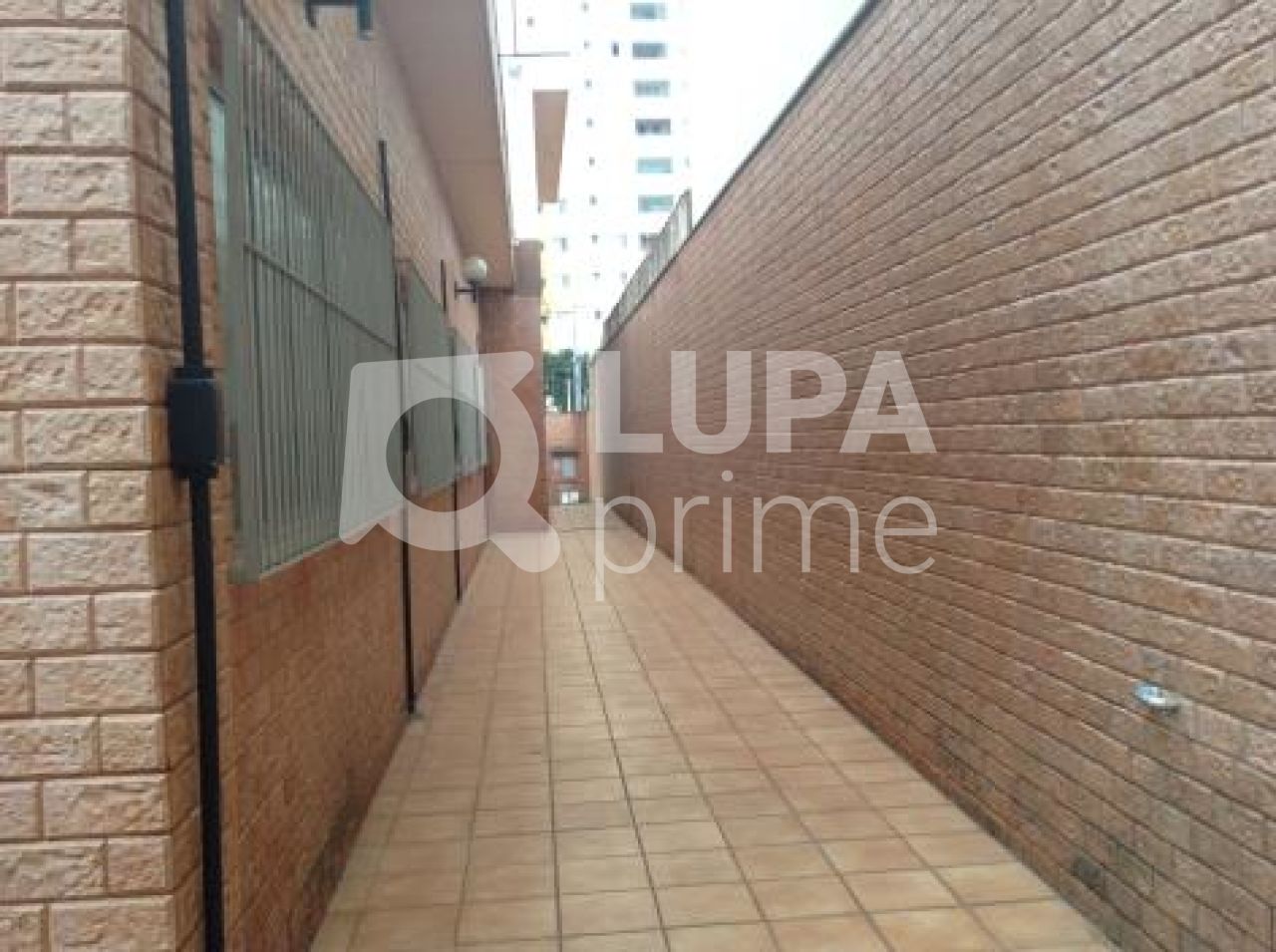 predio-locacao-sao-paulo-vila-dom-pedro-ii-5vagas-477m2-LS5300