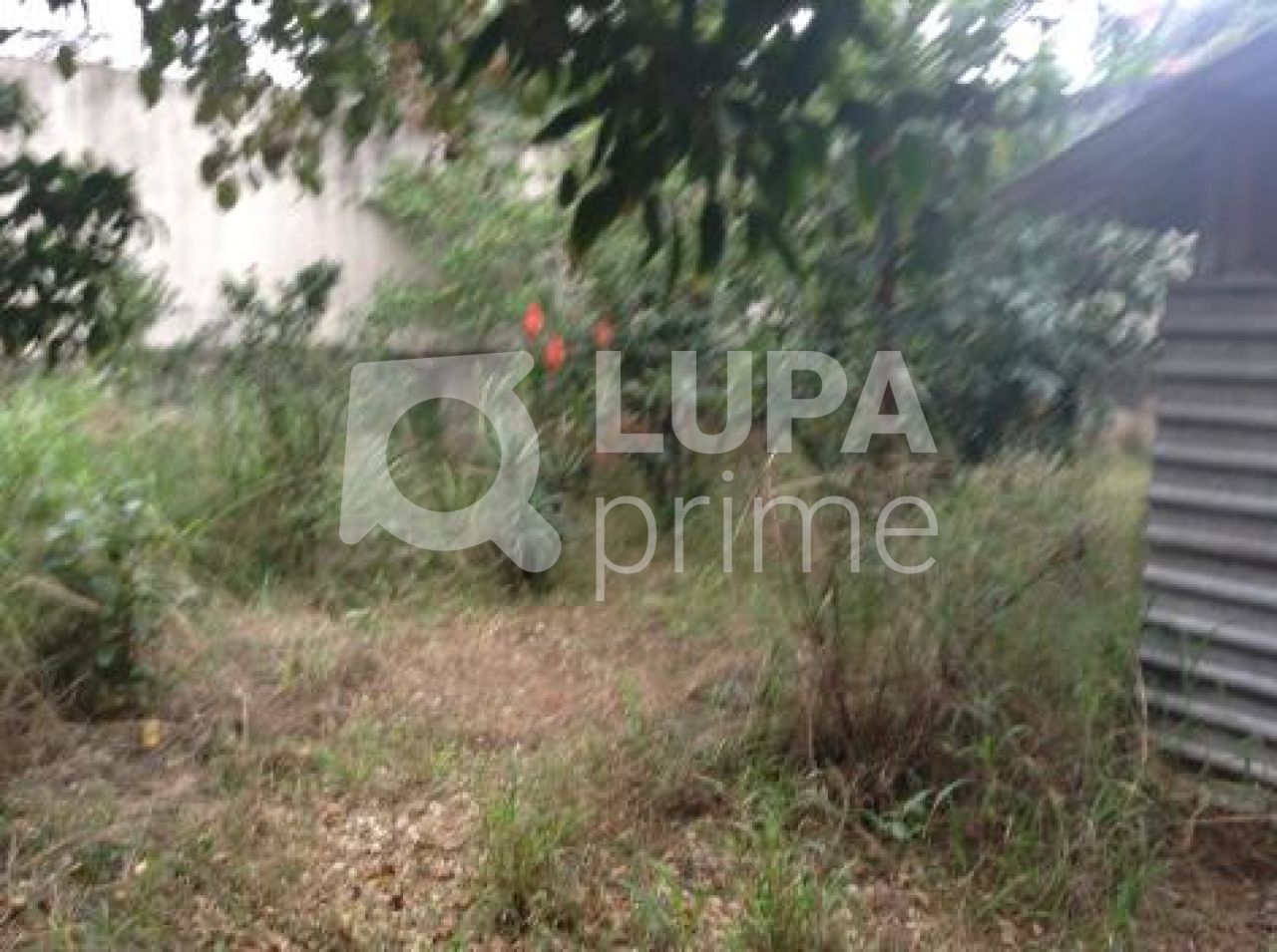 predio-locacao-sao-paulo-vila-dom-pedro-ii-5vagas-477m2-LS5300