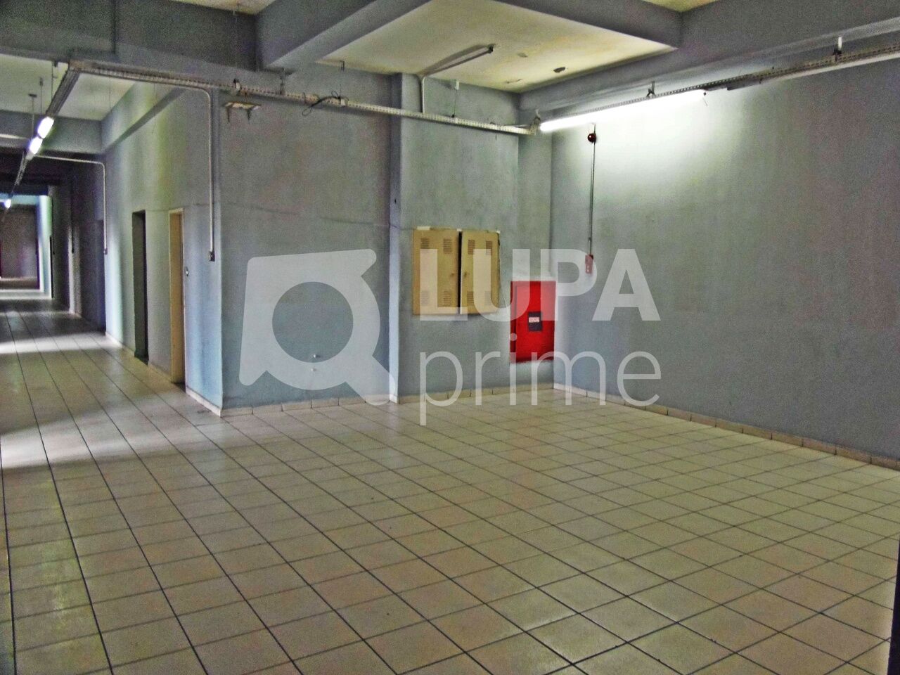 Prédio Inteiro, 4600 m² - Foto 4