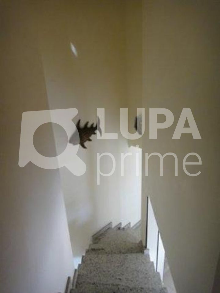 apartamento-venda-sao-paulo-parada-inglesa-3dormitorios-1suite-2vagas-120m2-LS5923