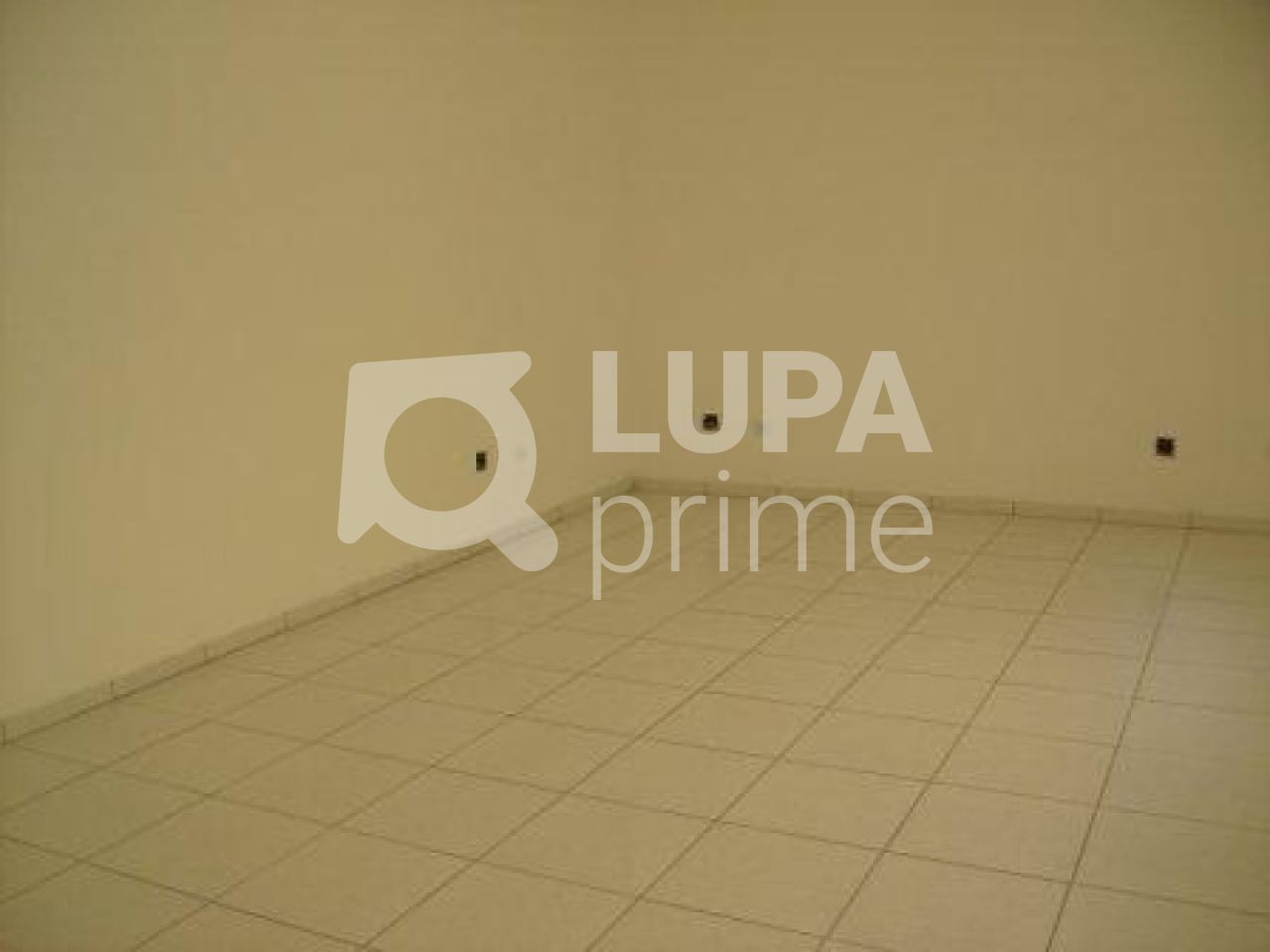 Prédio Inteiro, 6000 m² - Foto 15