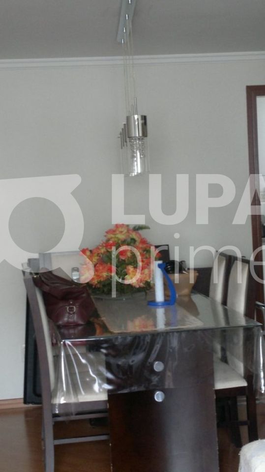 apartamento-venda-sao-paulo-tucuruvi-3dormitorios-1suite-1vaga-100m2-LS6485