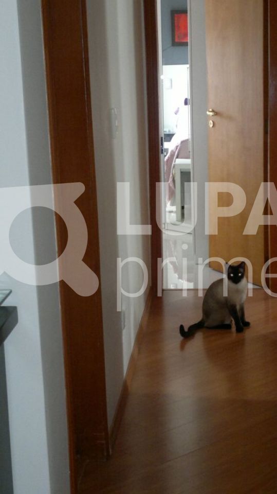 apartamento-venda-sao-paulo-tucuruvi-3dormitorios-1suite-1vaga-100m2-LS6485