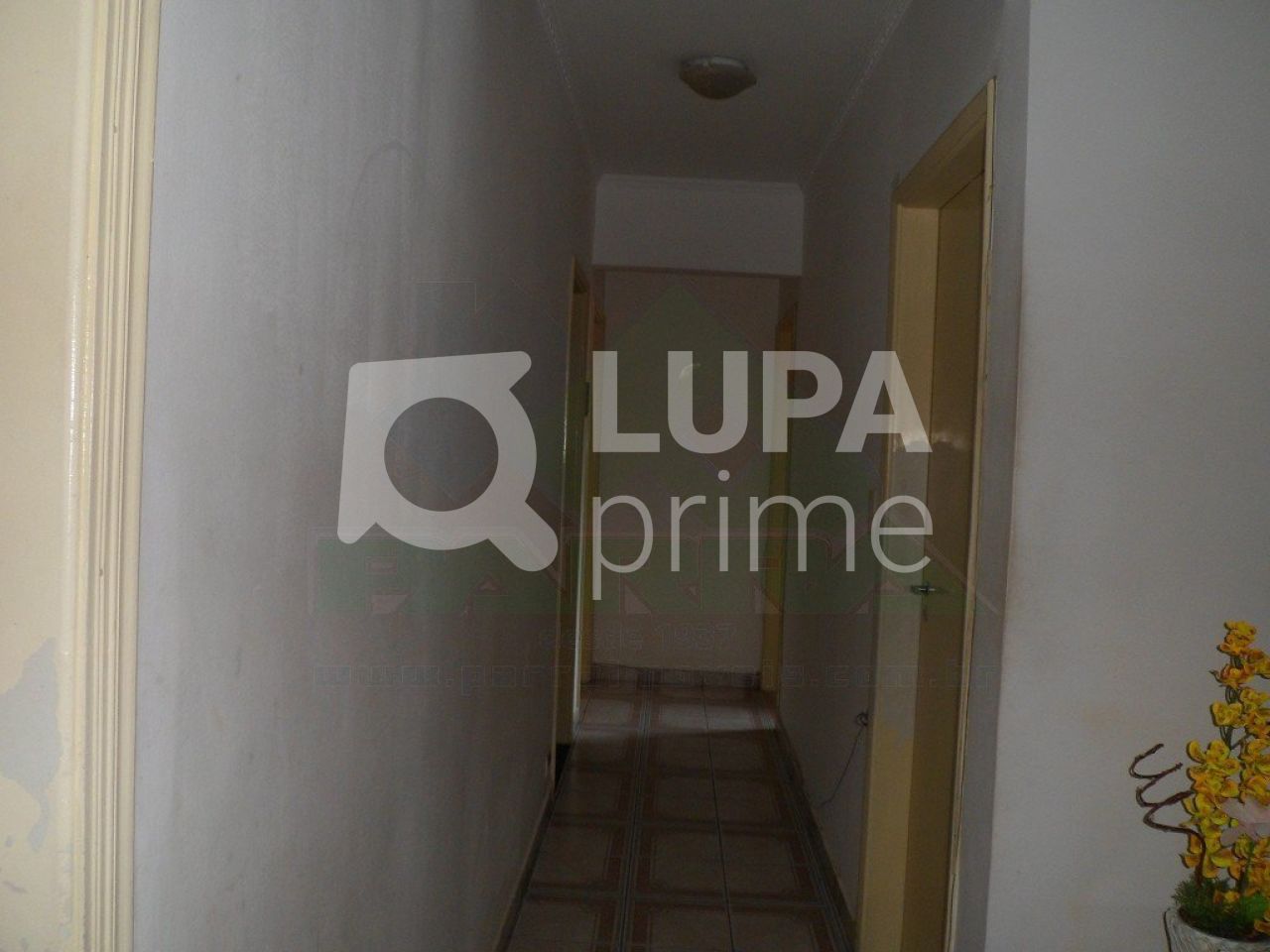 apartamento-venda-sao-paulo-vila-gustavo-3dormitorios-2vagas-85m2-LS6719