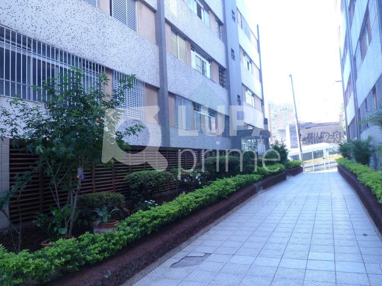 apartamento-venda-sao-paulo-vila-gustavo-3dormitorios-2vagas-85m2-LS6719