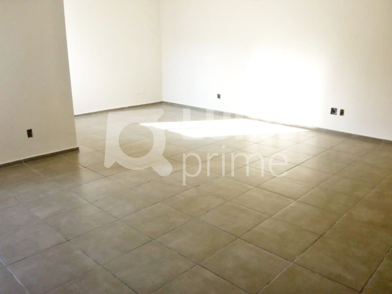 predio-venda-sao-paulo-santana-8vagas-500m2-LS7675