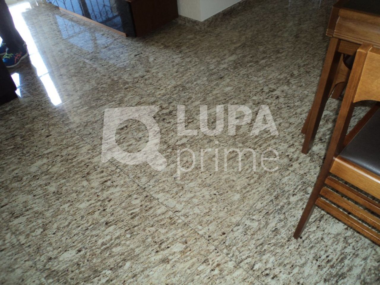 apartamento-venda-sao-paulo-lauzane-paulista-3dormitorios-1vaga-60m2-LS7798
