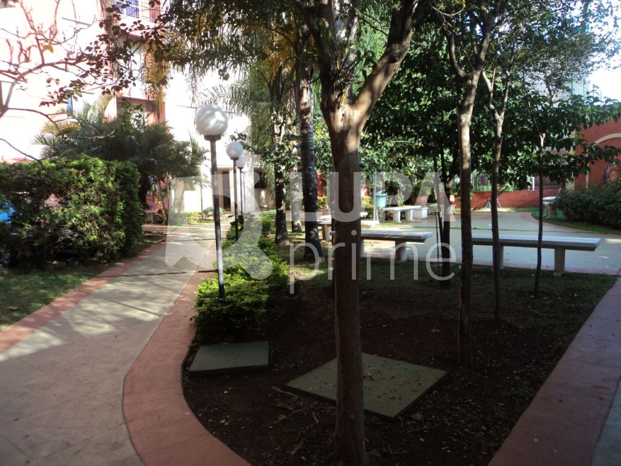 apartamento-venda-sao-paulo-lauzane-paulista-3dormitorios-1vaga-60m2-LS7798