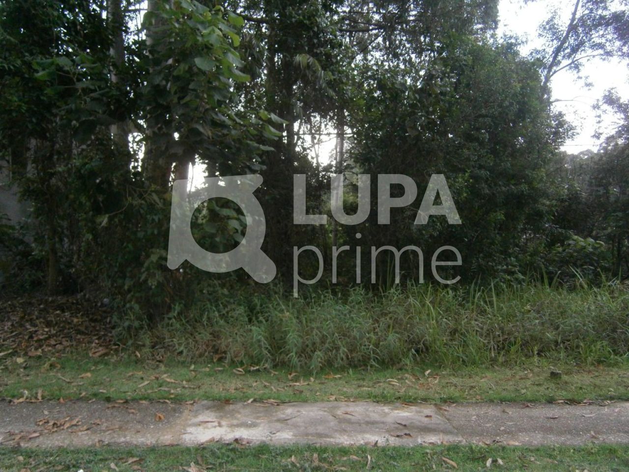 terreno-venda-sao-paulo-tucuruvi-LS7815