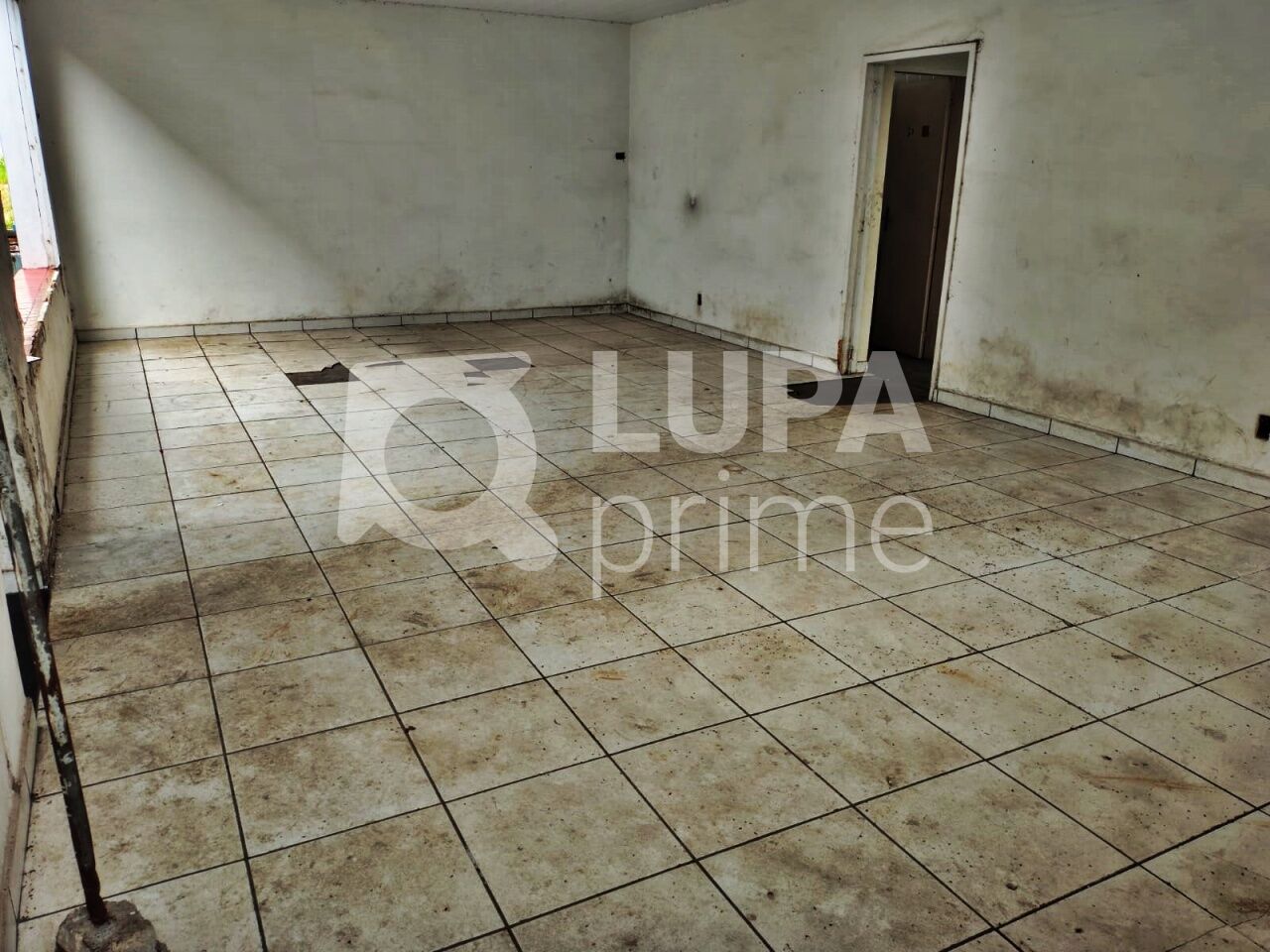 Depósito-Galpão, 5441 m² - Foto 8