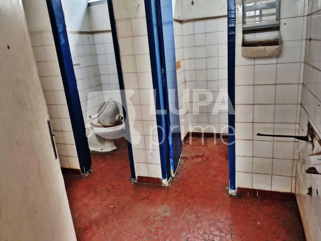 Depósito-Galpão, 5441 m² - Foto 10