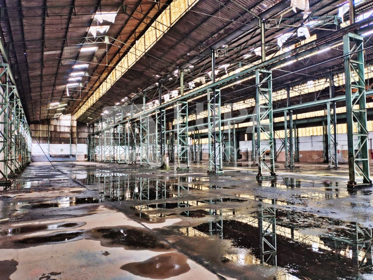 Depósito-Galpão, 5441 m² - Foto 3