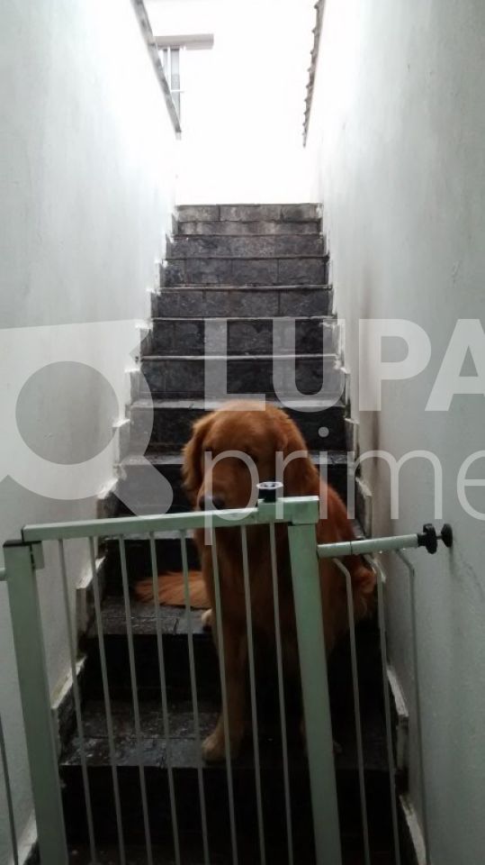 sobrado-venda-sao-paulo-horto-florestal-3dormitorios-1suite-2vagas-200m2-LS8362