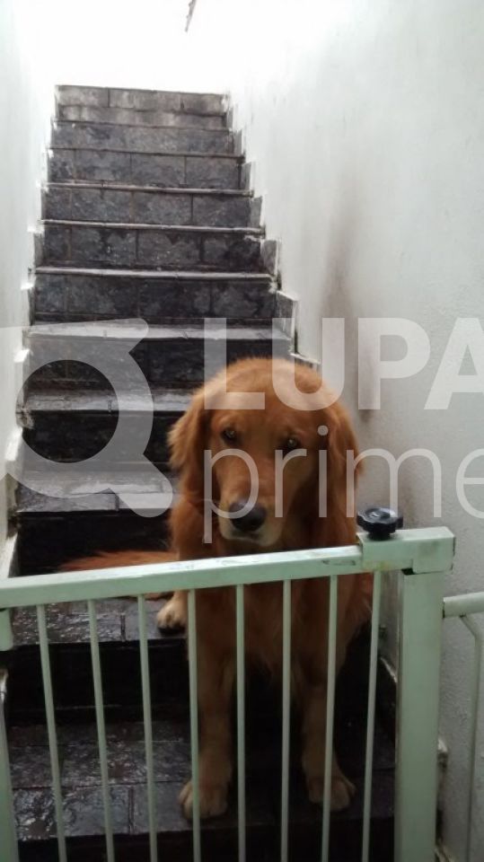 sobrado-venda-sao-paulo-horto-florestal-3dormitorios-1suite-2vagas-200m2-LS8362