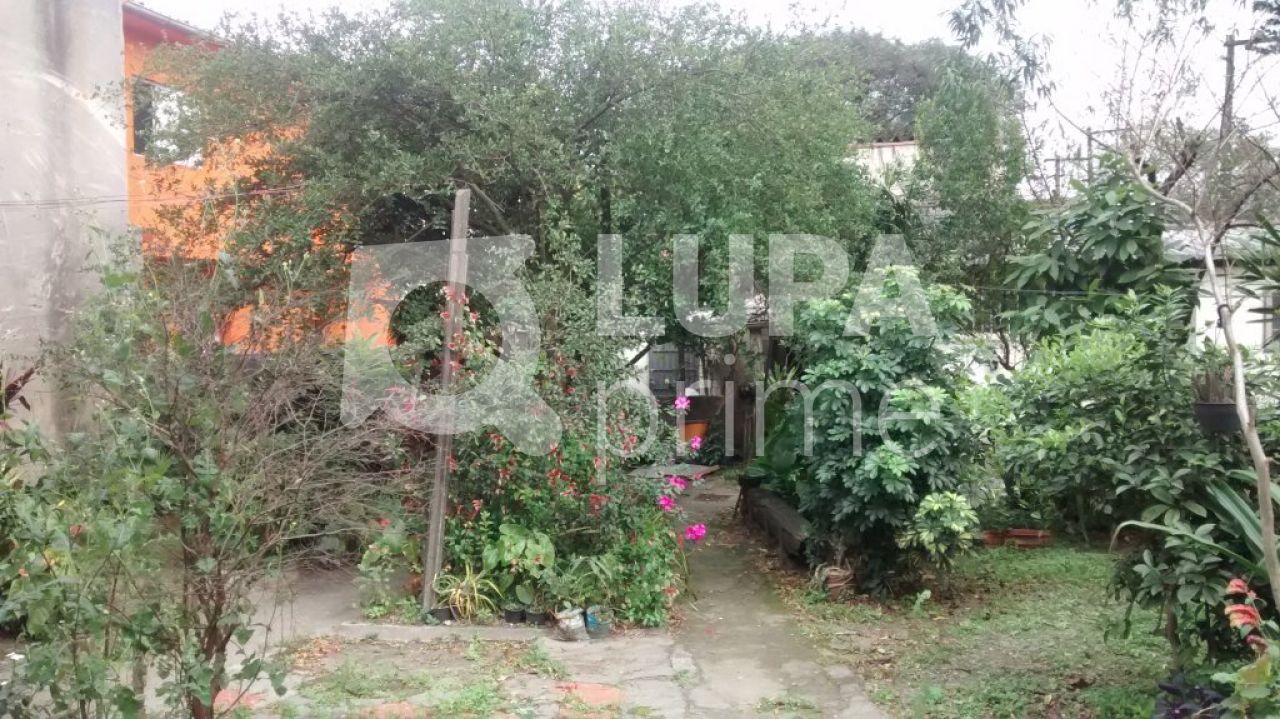 terreno-venda-sao-paulo-limao-980m2-LS8745