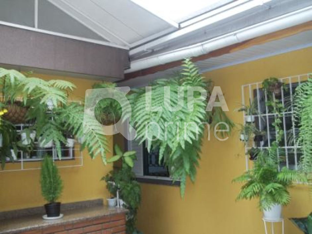 casa-terrea-venda-sao-paulo-imirim-5dormitorios-1suite-5vagas-300m2-LS898