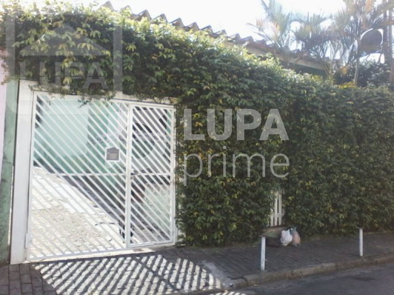 casa-terrea-venda-sao-paulo-vila-constanca-3dormitorios-1suite-7vagas-206m2-LS9066