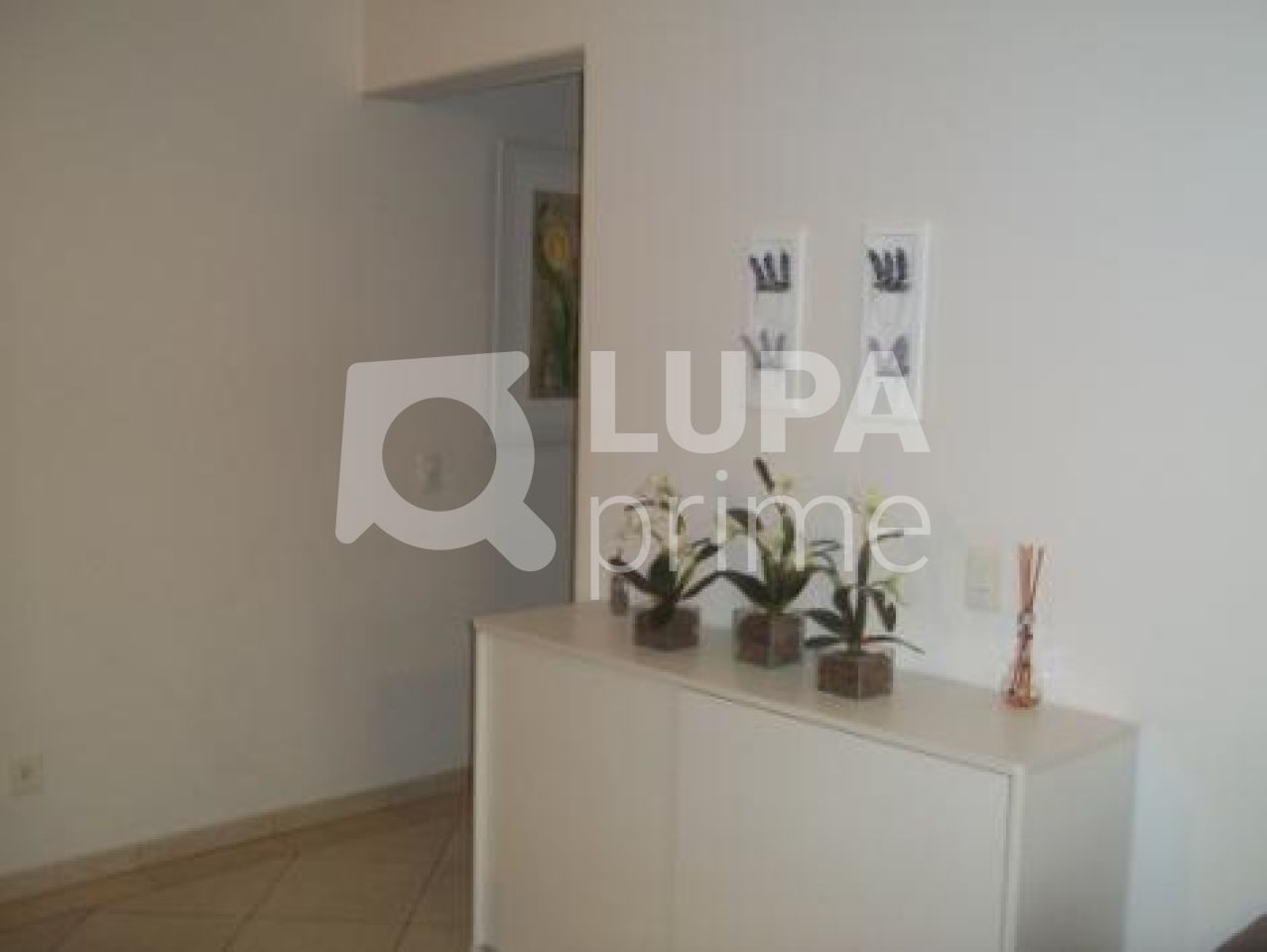 apartamento-venda-sao-paulo-santa-teresinha-3dormitorios-1suite-2vagas-105m2-LS918