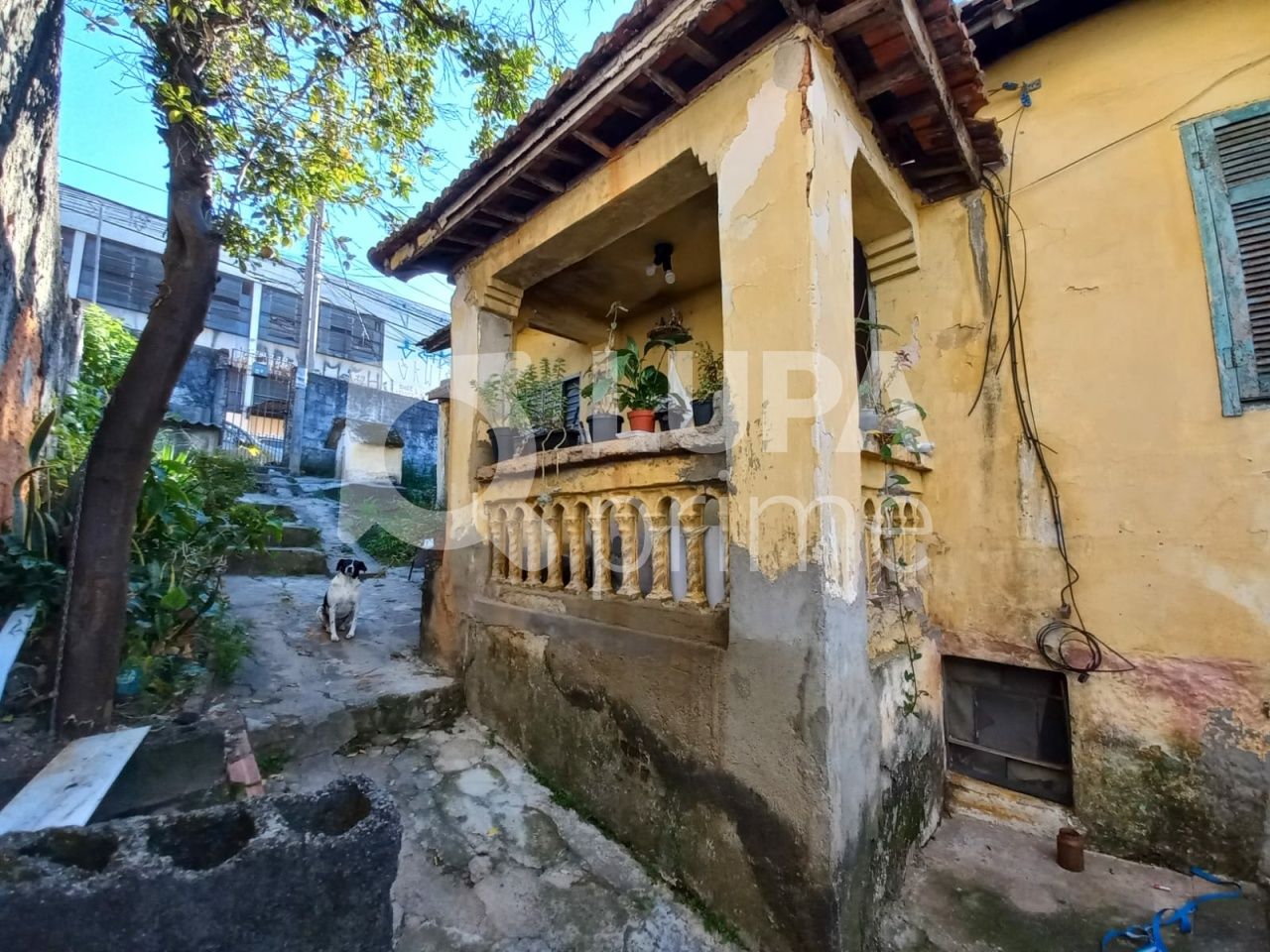 terreno-venda-sao-paulo-parada-inglesa-210m2-LS9271