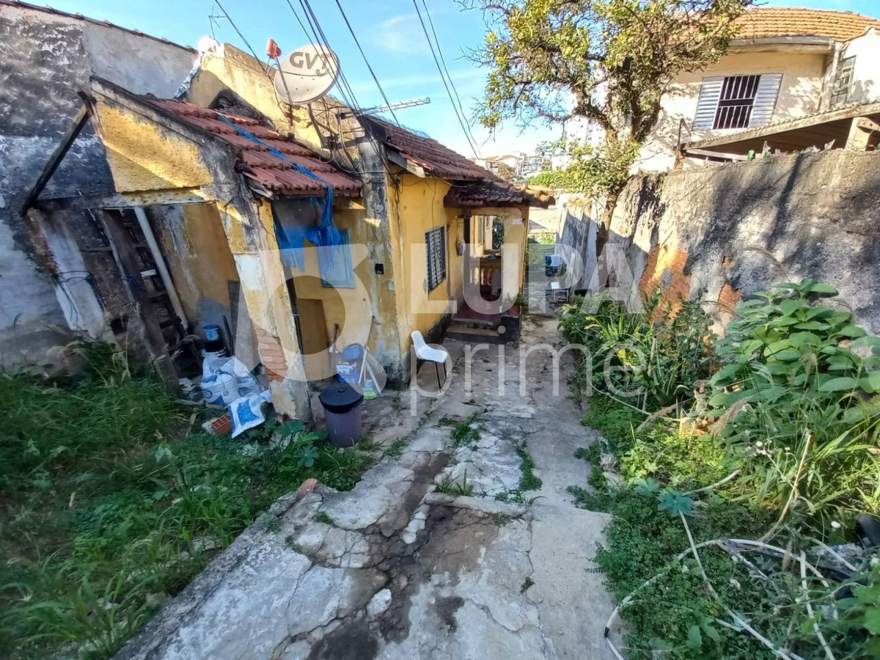 terreno-venda-sao-paulo-parada-inglesa-210m2-LS9271