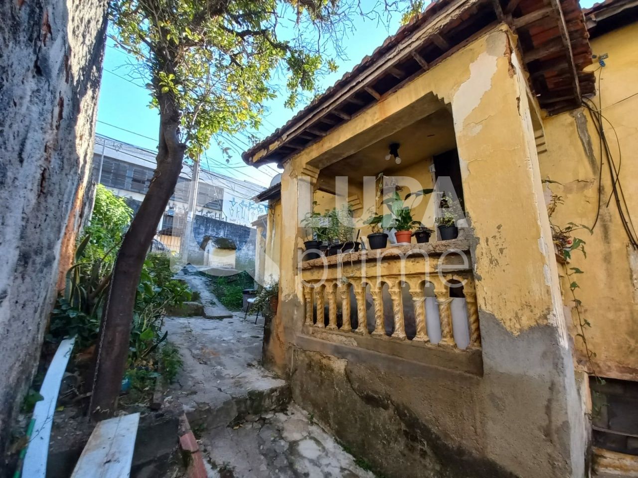 terreno-venda-sao-paulo-parada-inglesa-210m2-LS9271